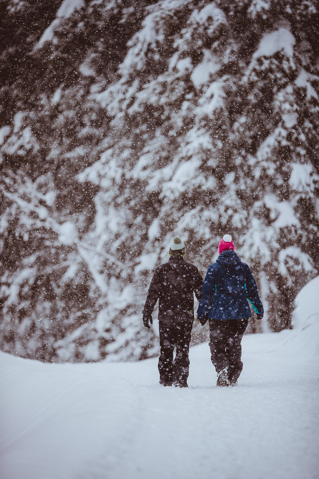 Export x3 1DX28920 Verlobungsfotoshooting 2018 Anna & Dominik